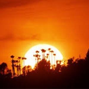 Meet your Posher, Mitchell